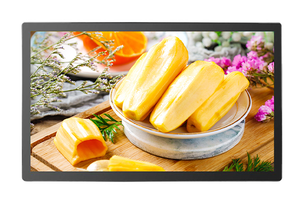 Capacitive Touch Monitor KOT-0238U-CA4P