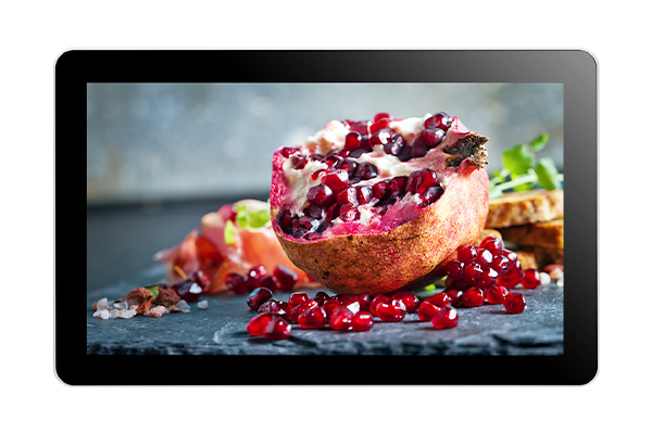 Capacitive Touch Monitor KOT-0230U-CA4P