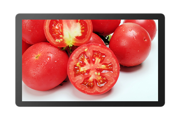 Capacitive Touch Monitor KOT-0215U-CA4P