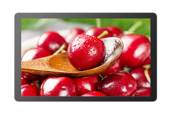 Capacitive Touch Monitor KOT-0320U-CA4P